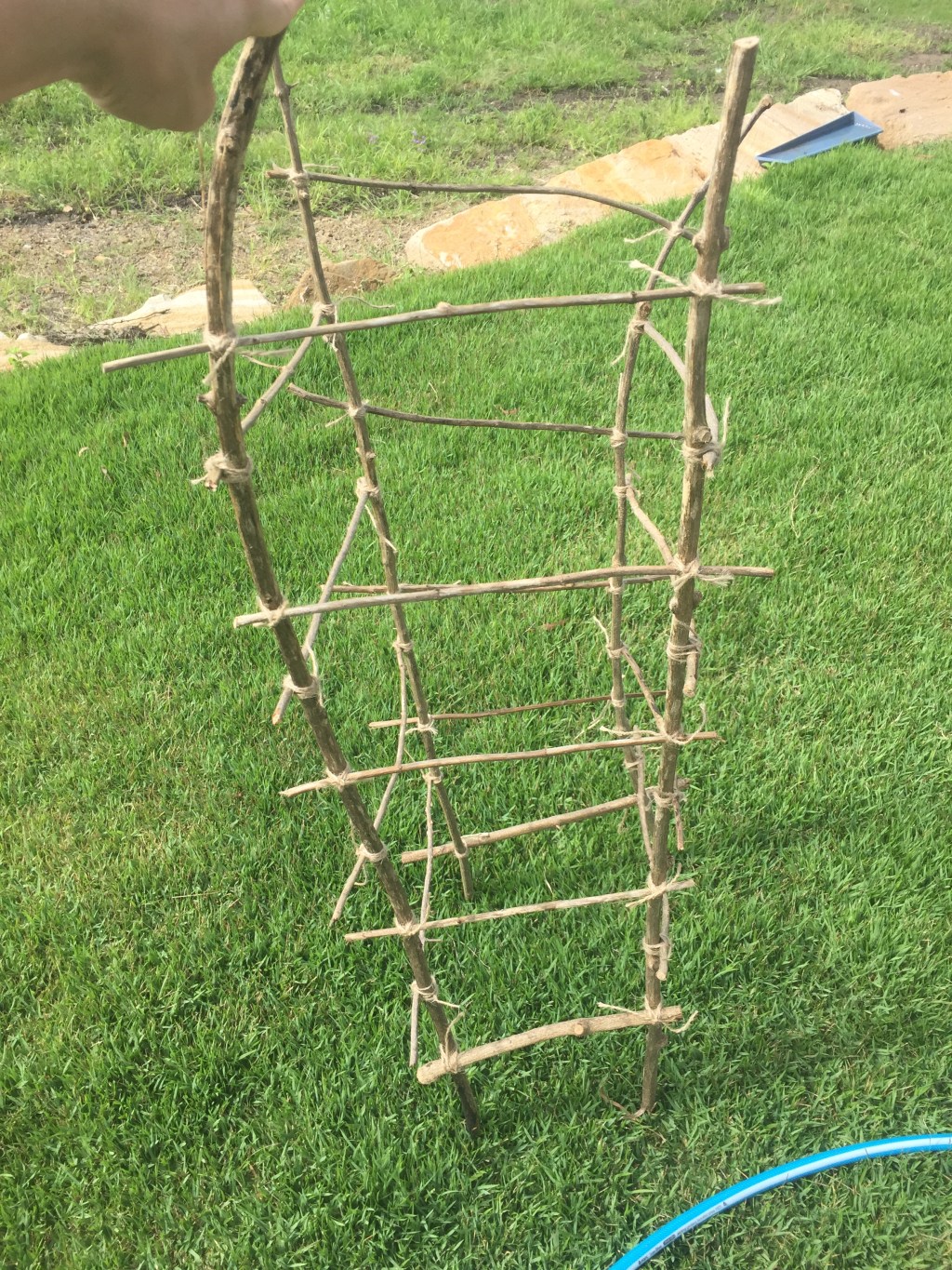 Tomato Cage and Garden&nbsp;Update