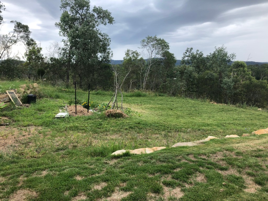 Edible Garden – February&nbsp;2023